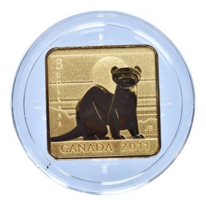 Kanada, 3 dolar 2011 Black Footed Ferret, čtevrcová stříbrná pozlacená mince, Ag 925, 11.71g, kapsle, cert., orig.etue
