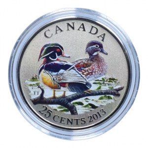 Kanada, 25 cent 2013 Wood Duck, barevná mince, kapsle, cert., orig.etue