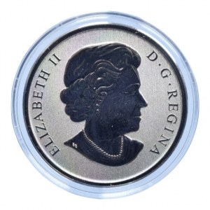 Kanada, 25 cent 2013 Wood Duck, barevná mince, kapsle, cert., orig.etue