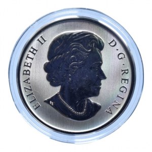 Kanada, 25 cent 2014 The Pintail, barevná mince, kapsle, cert., orig.etue