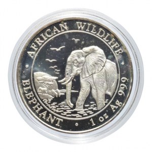 Somálsko, 100 shilling 2010, Africký slon, Ag999, 31.2g, kapsle