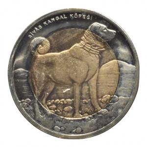 Turecko, 1 lira 2010, Turecký kangalský pes, bimetal, kapsle