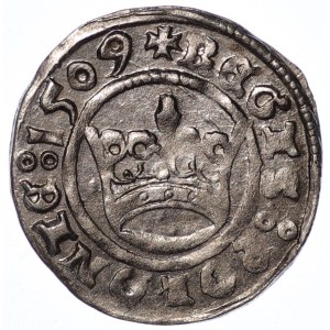 Sigismund I. der Alte, halber Pfennig, 1509, Krakau - schön