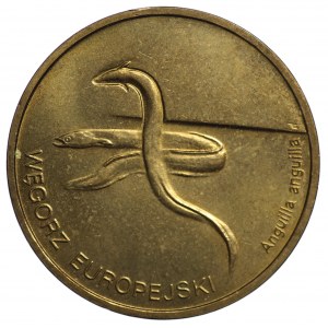 2 złote 2003, Węgorz Europejski