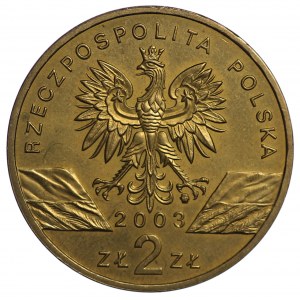 2 złote 2003, Węgorz Europejski
