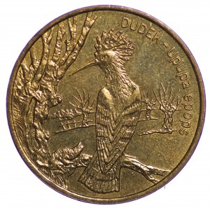 2 Gold 2000, Dudek