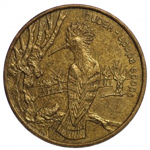 2 gold 2000, Dudek
