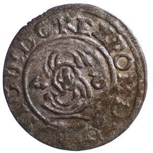 Zygmunt III Waza, Szeląg 1627