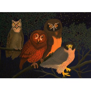 Magdalena Shummer-Fangor, Four Owls, 2019