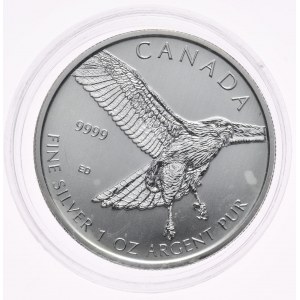 Canada, Buzzard 2015, 1 oz, 1 oz Ag 999