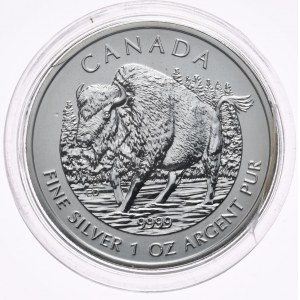 Kanada, bizon 2013, 1 oz, 1 uncja Ag 999