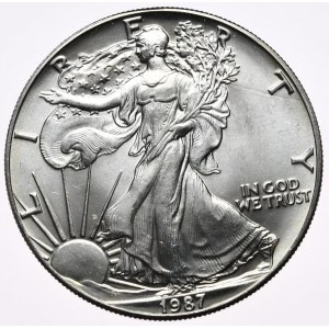 USA, Liberty Silver Eagle 1987 dollar, 1 oz, 999 AG ounce