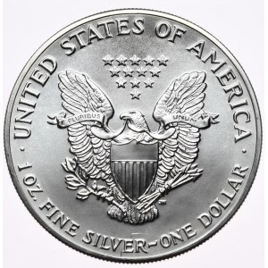 USA, Liberty Silver Eagle 1989 dolár, 1 oz, 999 AG unca