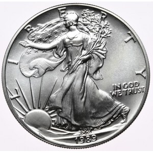 USA, Liberty Silver Eagle 1989 dolár, 1 oz, 999 AG unca