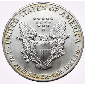 USA, Liberty Silver Eagle 1991 dollar, 1 oz, 999 AG ounce