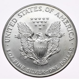 USA, Liberty Silver Eagle 1996 dolar, 1 oz, 999 AG unce, nejvzácnější ročník
