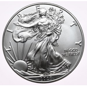 USA, Liberty Silver Eagle 2020 dollar, 1 oz, 999 AG ounce