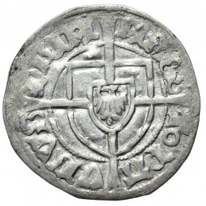 Teutonský rád, Paul I Bellitzer von Russdorf, nedatovaný šiling