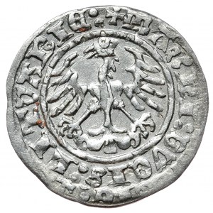 Sigismund I. der Alte, halber Pfennig 1513, Vilnius