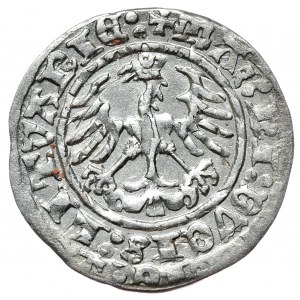 Zikmund I. Starý, půlgroše 1513, Vilnius