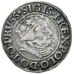 Zikmund I. Starý, penny 1538, Gdaňsk