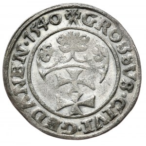 Zikmund I. Starý, penny 1540, Gdaňsk