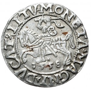 Sigismund II. Augustus, Halbpfennig 1558, Wilna, SIGI statt SIGIS