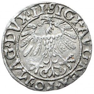 Zikmund II Augustus, půlpenny 1558, Vilnius, SIGI místo SIGIS