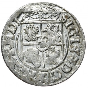 Zygmunt III Waza, półtorak 1619, Bydgoszcz