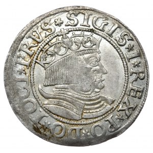 Zikmund I. Starý, penny 1533, Toruň
