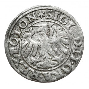 Žigmund I. Starý, šiling 1546 POLON, Gdansk