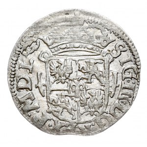 Sigismund III Vasa, half horn 1619 Vilnius - Rarity