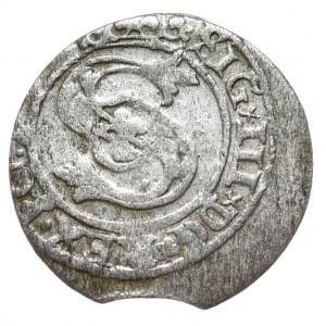 Zygmunt III Waza, Szeląg Ryga 1600 - skrócona data 600