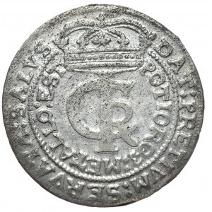 Jan Kazimierz, tymf 1664, Kraków
