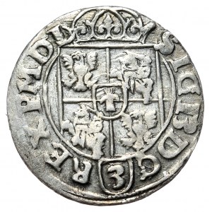 Zygmunt III Waza, półtorak 1616, Bydgoszcz, herb Sas w okręgu