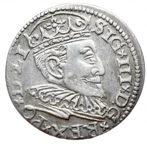 Sigismund III Vasa, Troika 1596, Riga