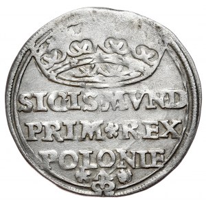 Zygmunt I Stary, grosz 1528, Kraków