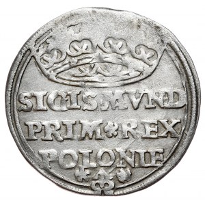 Žigmund I. Starý, penny 1528, Krakov