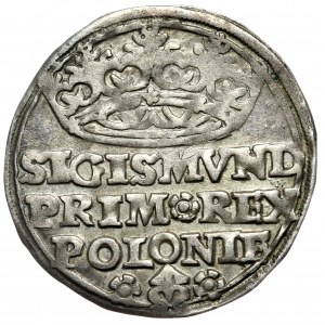 Zikmund I. Starý, penny 1528, Krakov