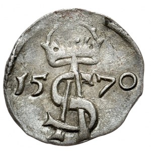 Zygmunt II August, dwudenar 1570, Wilno