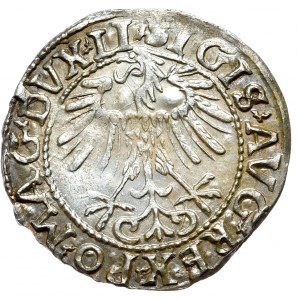 Zygmunt II August, Półgrosz 1557, Wilno - LI/LITVA