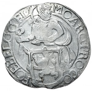 Niderlandy, Geldria, talar lewkowy 1643