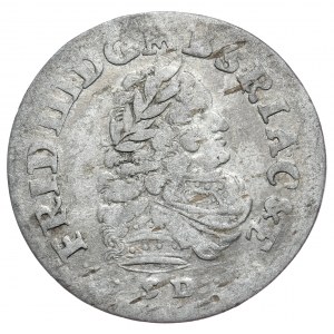 Prusy (księstwo), szóstak 1699 SD, mniejsza głowa