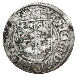 Zygmunt III Waza, półtorak 1620, Ryga, Lis