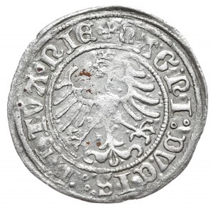 Sigismund I the Old, half-penny 1509, Vilnius