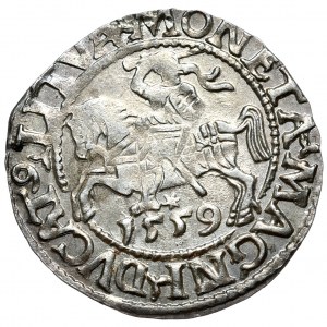 Sigismund II. Augustus, halber Pfennig 1559, Vilnius, L/LITVA