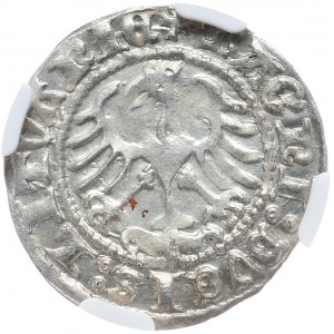 Sigismund I. der Alte, halber Pfennig 1512, Vilnius