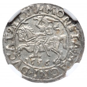 Zygmunt II August, półgrosz 1556, Wilno, LI/LITV