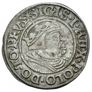 Sigismund I. der Alte, Pfennig 1538, Danzig, PRVS/GROSVS Fehler korrigiert