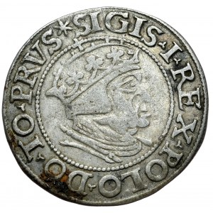 Zikmund I. Starý, groš 1548, Gdaňsk, GEDΛNENS místo GEDANENS, velká vzácnost